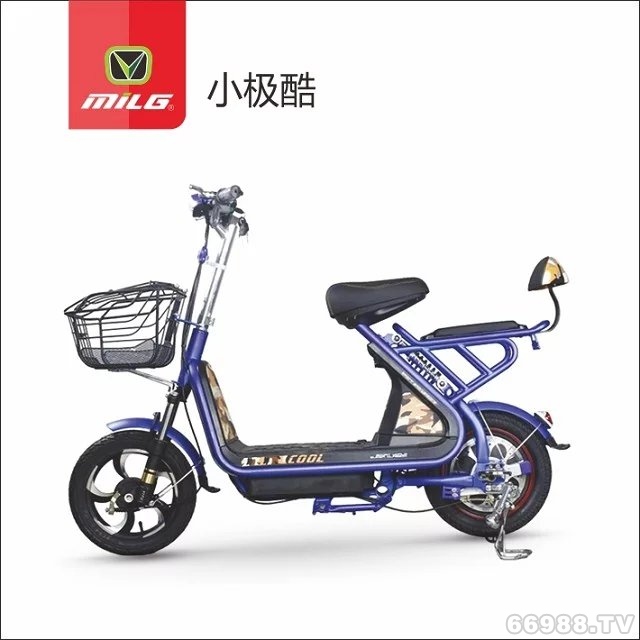 富騰達(dá)美翎小極酷電動(dòng)車