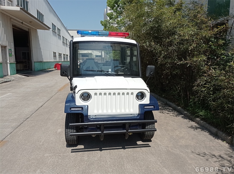 莆田電動巡邏車